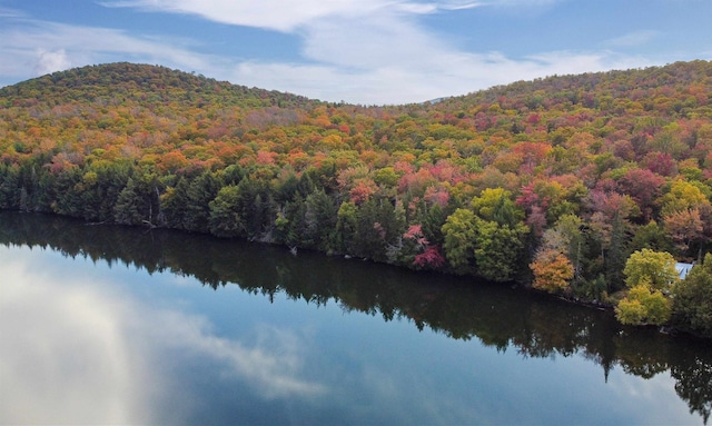 property view of water featuring a mountain view