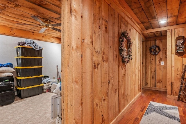 hallway with wooden ceiling, wooden walls, and hardwood / wood-style floors