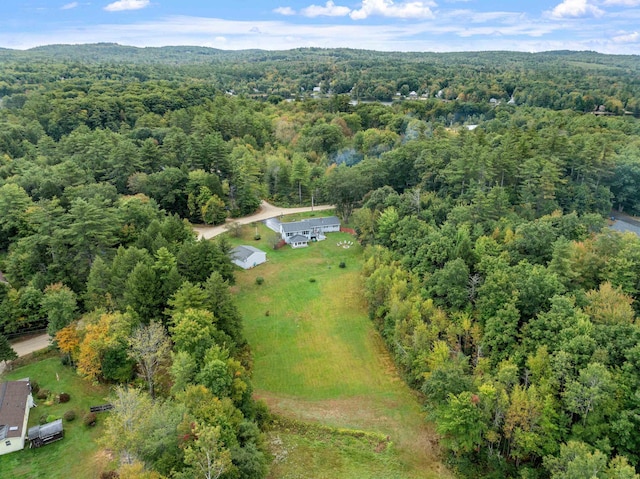 bird's eye view