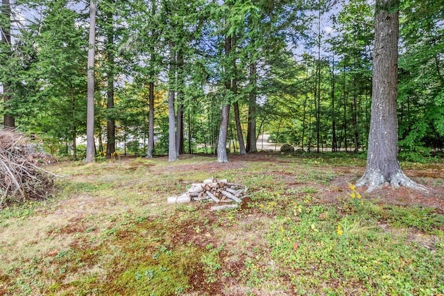 Listing photo 3 for LOT45-6 Dalton Dr, Barnstead NH 03225