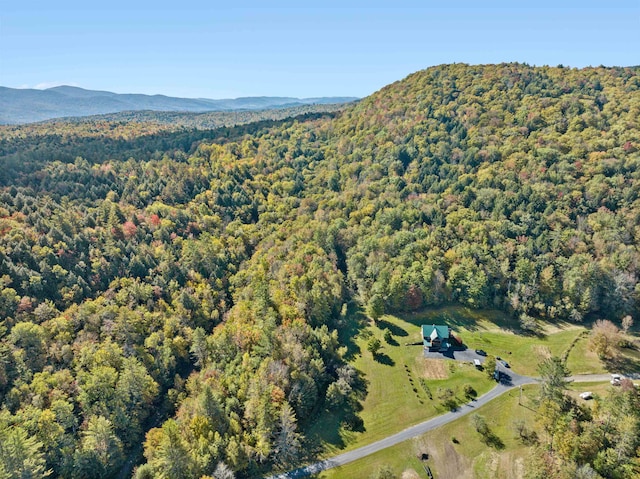 aerial view with a mountain view