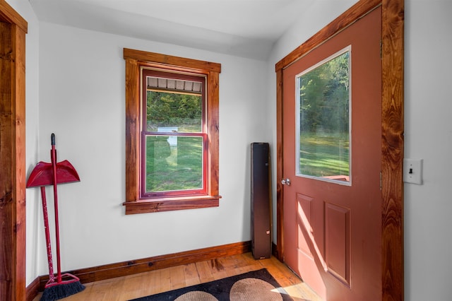 doorway to outside with light hardwood / wood-style flooring and plenty of natural light