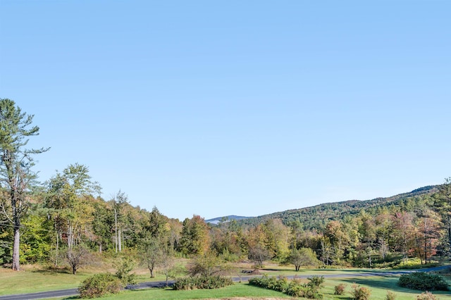 property view of mountains