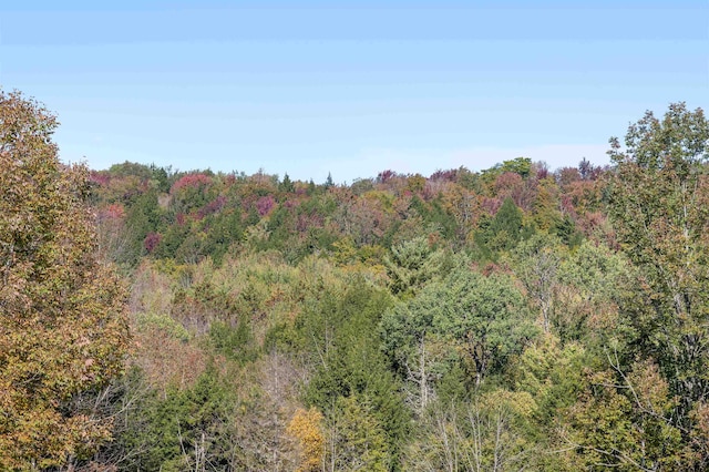 view of local wilderness