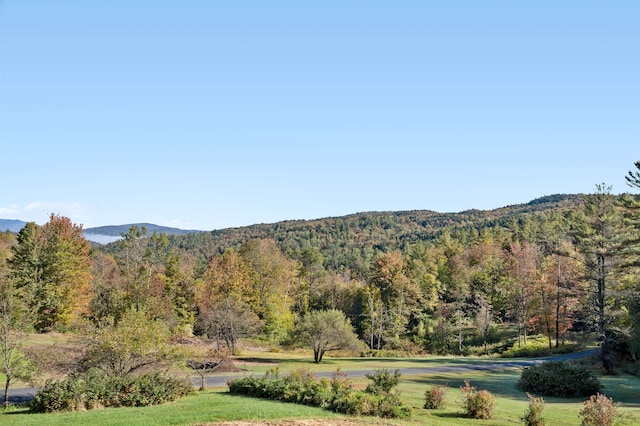 view of mountain feature