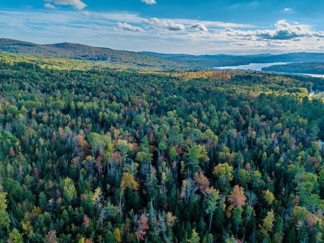 000 N Littleton Rd, Littleton, NH 03561