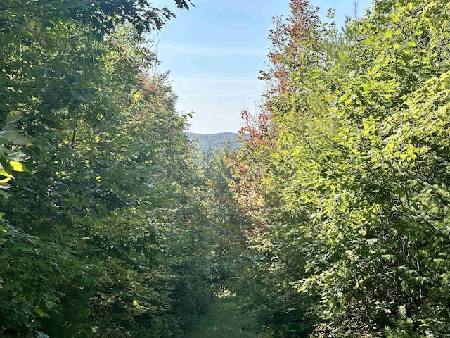 000 N Littleton Rd, Littleton, NH 03561