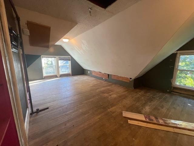 additional living space featuring wood-type flooring and vaulted ceiling