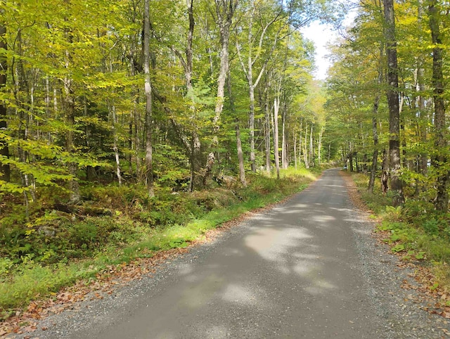 0 Banning Rd, Putney VT, 05346 land for sale