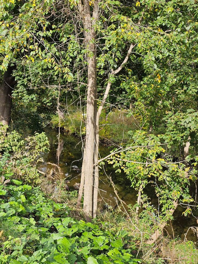 view of landscape with a water view