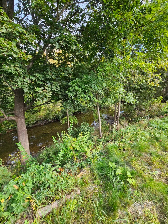 view of landscape with a water view