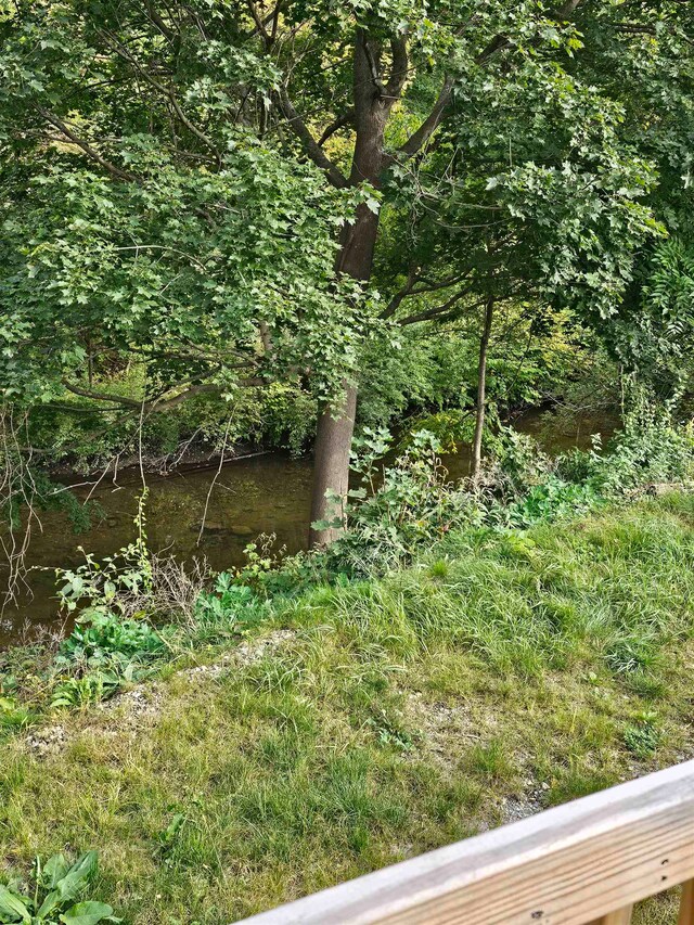 view of landscape with a water view