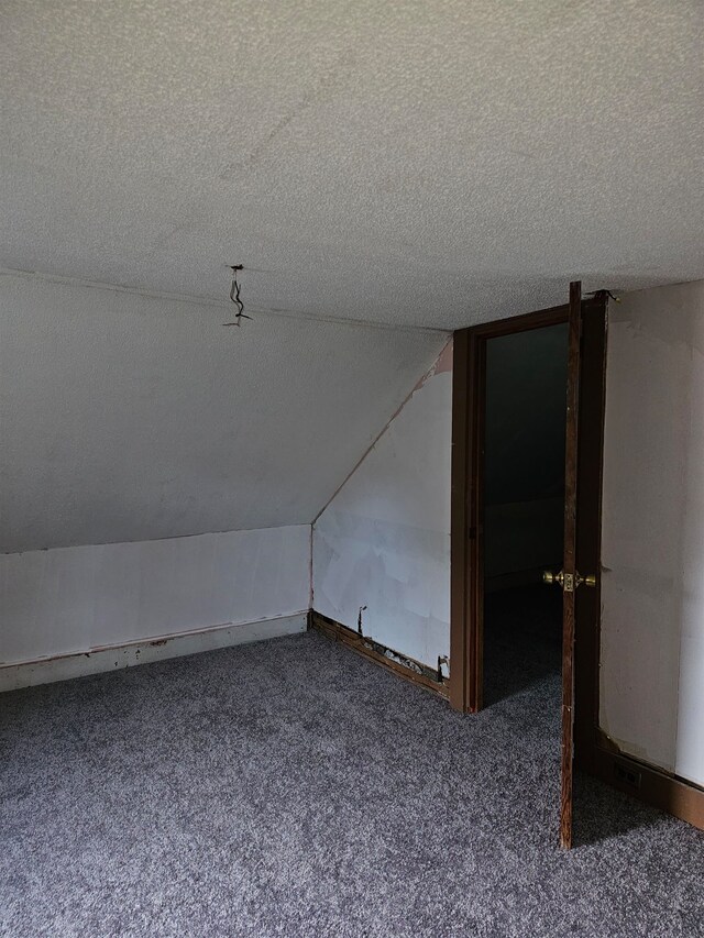 bonus room featuring lofted ceiling, a textured ceiling, and carpet flooring