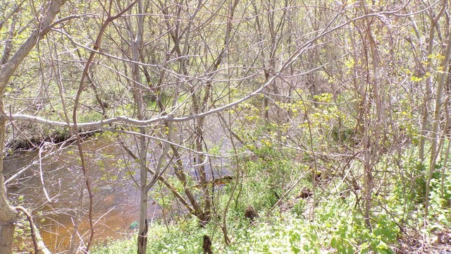 view of landscape featuring a water view