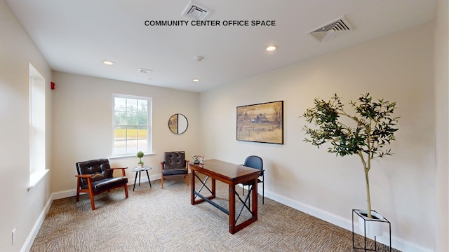 living area with carpet