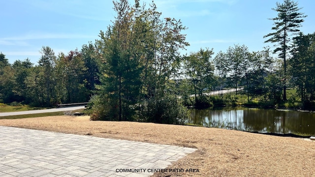 view of home's community featuring a water view