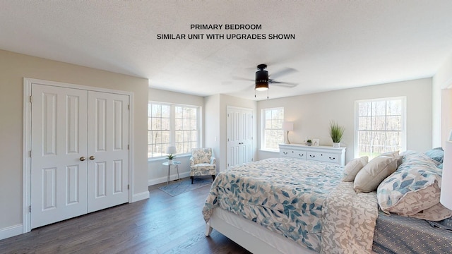 bedroom featuring a textured ceiling, multiple closets, ceiling fan, and dark hardwood / wood-style flooring