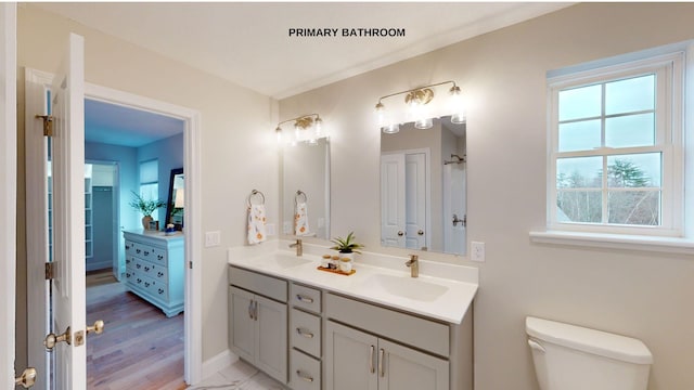 bathroom featuring vanity, toilet, and hardwood / wood-style flooring