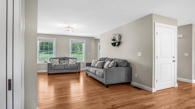 living room featuring hardwood / wood-style flooring