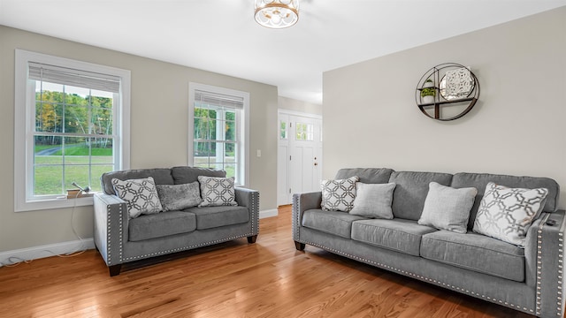 living room with hardwood / wood-style floors and a healthy amount of sunlight