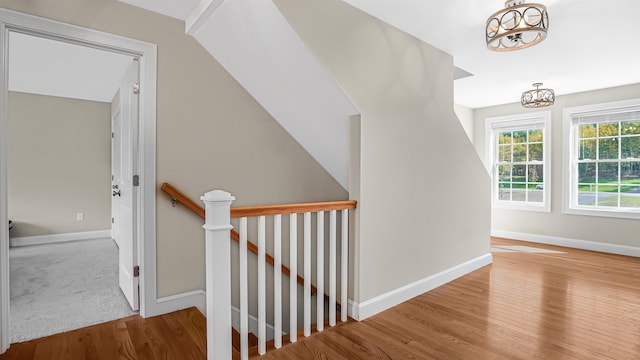 staircase with a notable chandelier and hardwood / wood-style flooring