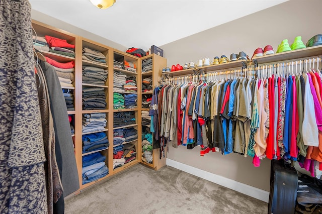 walk in closet with carpet