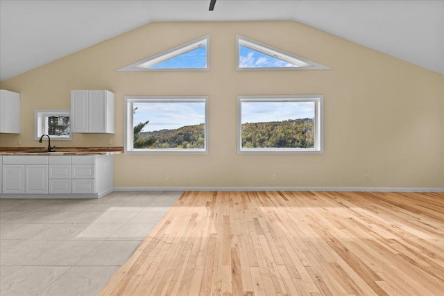 additional living space featuring light hardwood / wood-style floors, a healthy amount of sunlight, and sink