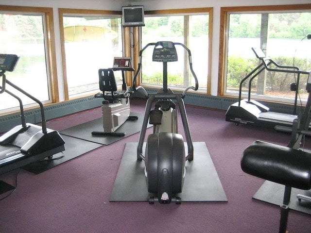 workout area with carpet flooring and plenty of natural light