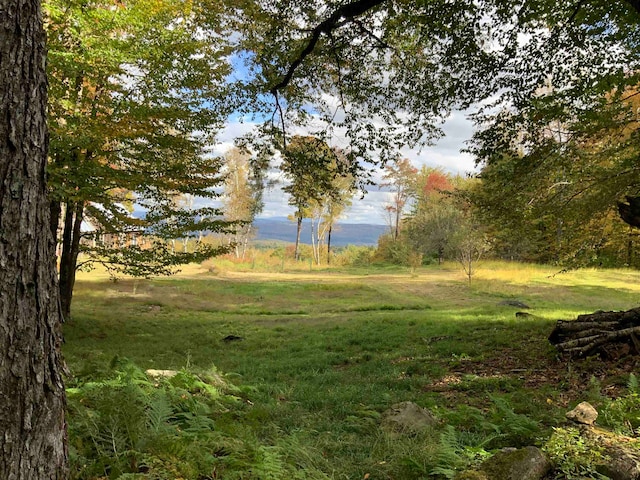 0 Allyn Rd, Putney VT, 05346 land for sale