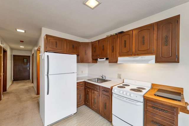 kitchen featuring exhaust hood, white appliances, light countertops, a sink, and brown cabinets