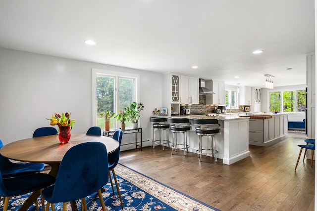 dining room featuring a baseboard radiator, plenty of natural light, and dark hardwood / wood-style flooring