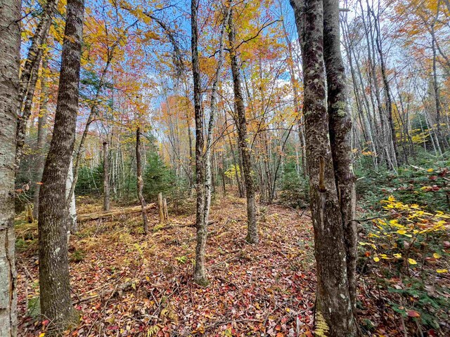 00 W Main St, Lunenburg, VT 05906