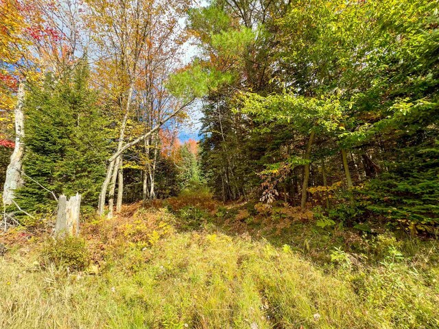 00 W Main St, Lunenburg, VT 05906