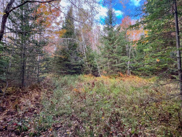 00 W Main St, Lunenburg, VT 05906
