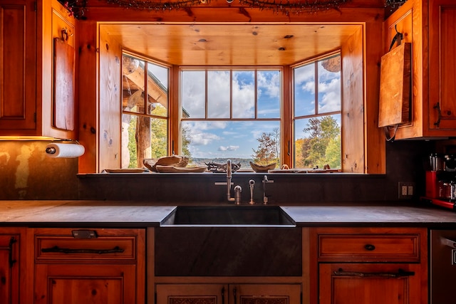 kitchen with backsplash, dishwasher, and plenty of natural light