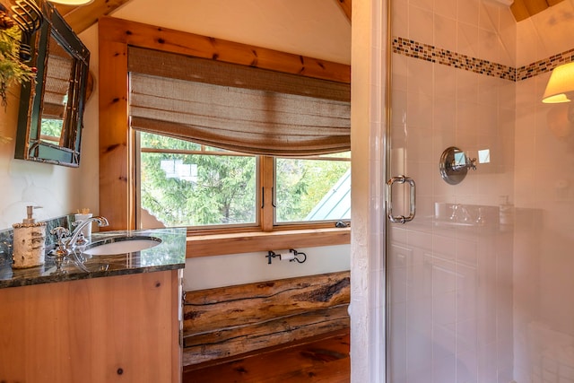 bathroom with a wealth of natural light, vanity, and a shower with shower door