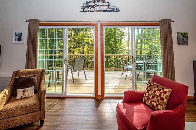 entryway featuring wood-type flooring and a wealth of natural light