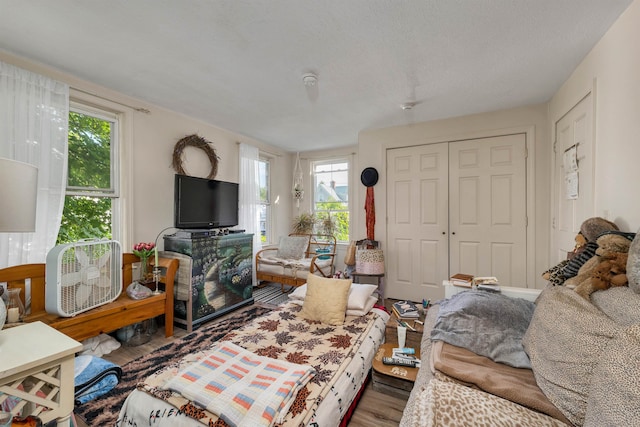 living room with a textured ceiling and hardwood / wood-style flooring