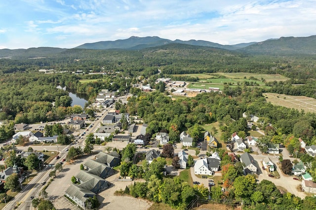 birds eye view of property featuring a mountain view