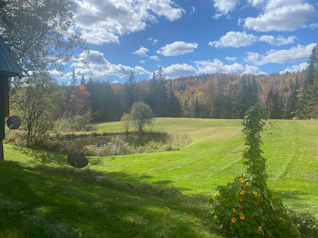 view of yard featuring a wooded view and a water view