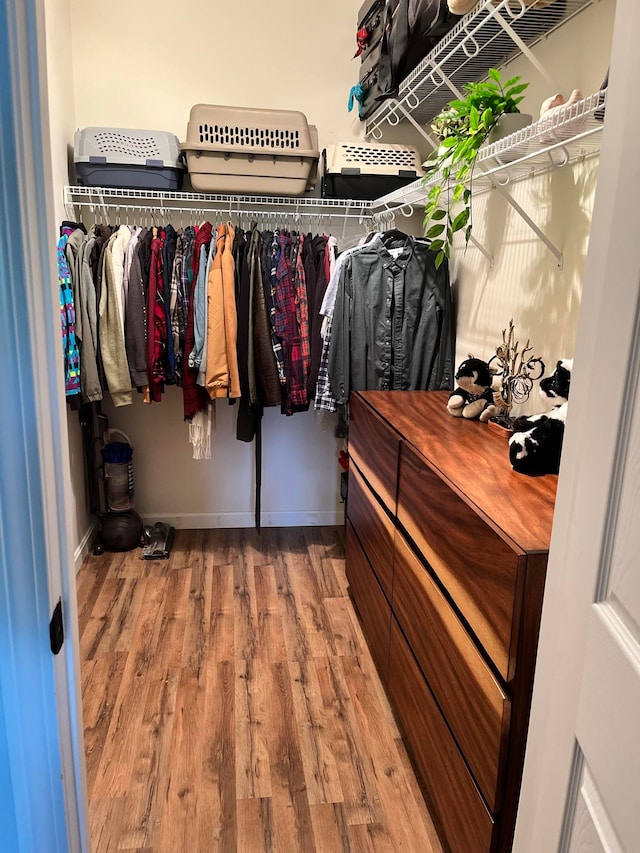 walk in closet featuring hardwood / wood-style flooring