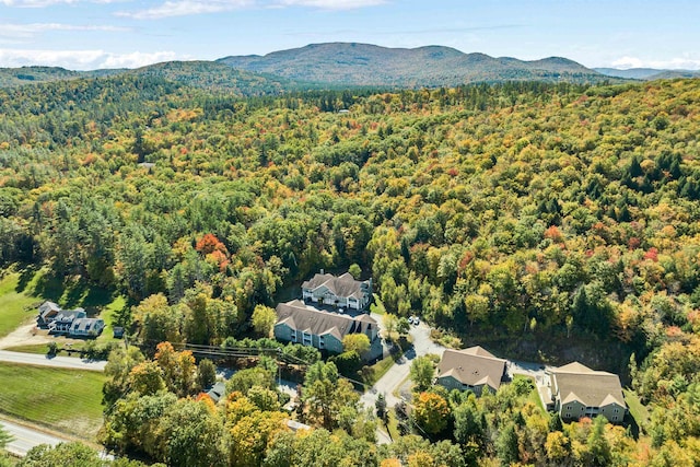 aerial view with a mountain view