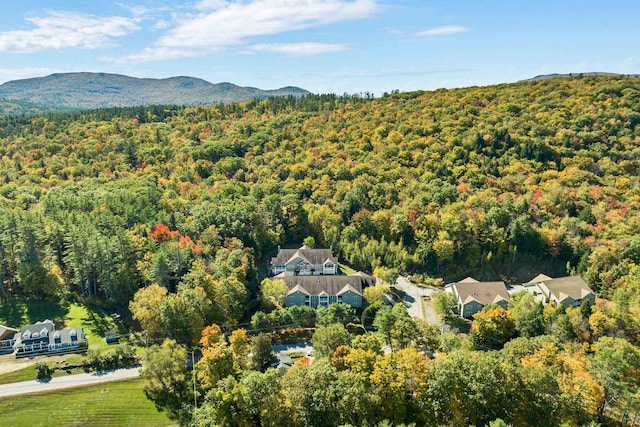 aerial view featuring a mountain view