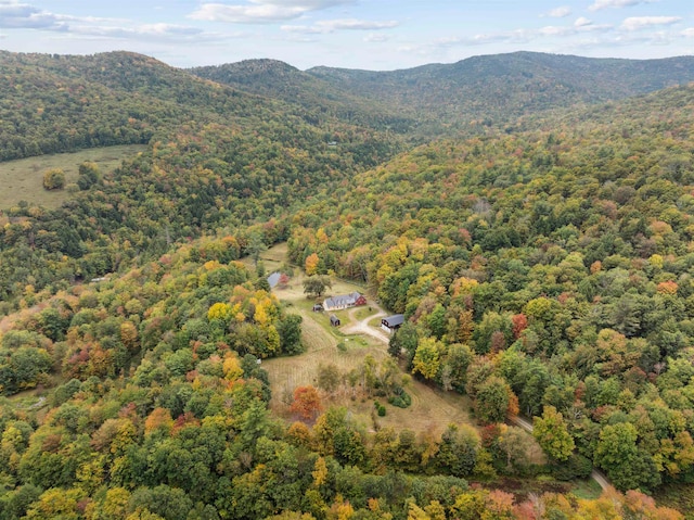 aerial view with a mountain view