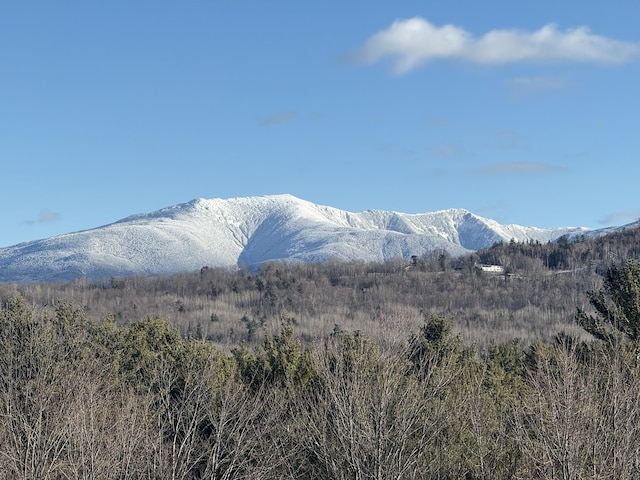 428 Pearl Lake Rd, Sugar Hill, NH 03586 - view of mountain background featuring a forest