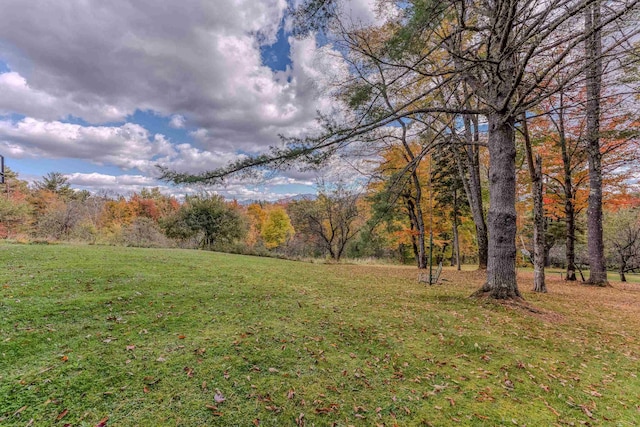 428 Pearl Lake Rd, Sugar Hill, NH 03586 - view of grassy yard with a view of trees