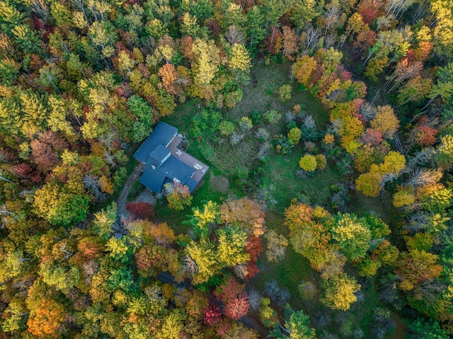 bird's eye view