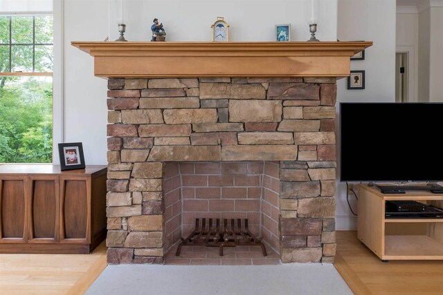 room details with wood-type flooring and a stone fireplace