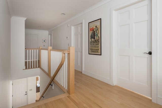 hallway featuring crown molding and light wood-type flooring