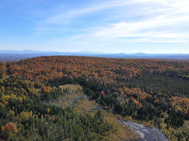1881 Cahoon Farm Rd, Walden, VT 05873
